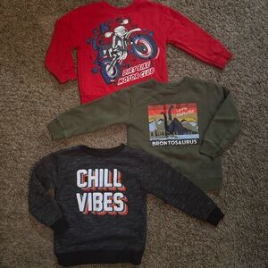 Garanimals Crewneck Sweatshirts Lot 3T